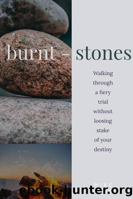 Burnt Stones by Mike Connell