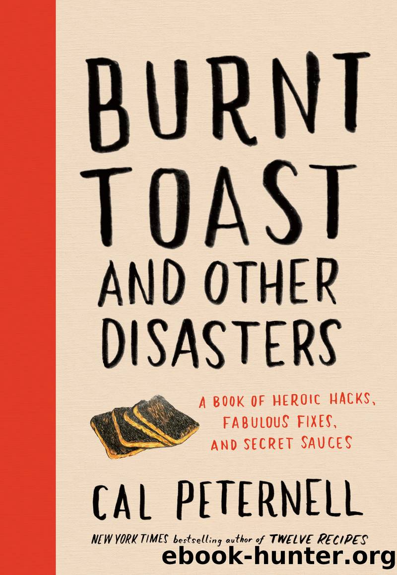Burnt Toast and Other Disasters by Cal Peternell
