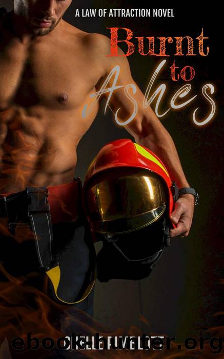 Burnt to Ashes by Chelle Pimblott