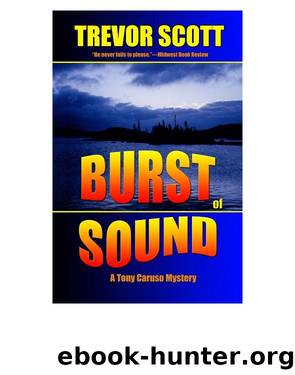 Burst of Sound by Trevor Scott