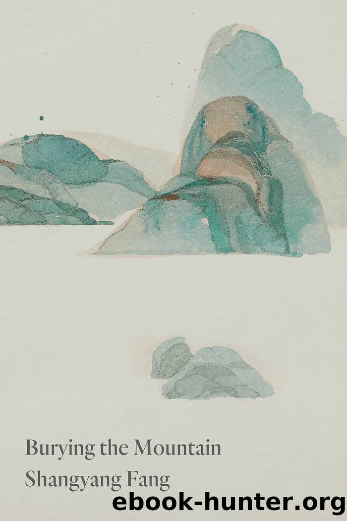Burying the Mountain by Shangyang Fang