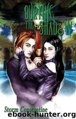 Burying the Shadow by Constantine Storm