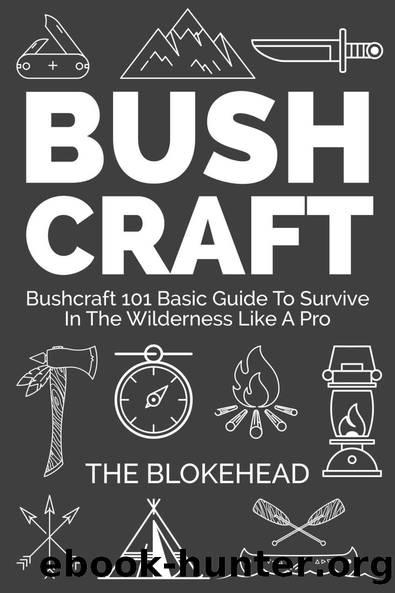 Bushcraft : Bushcraft 101 Basic Guide To Survive In The Wilderness Like A Pro (The Blokehead Success Series) by The Blokehead