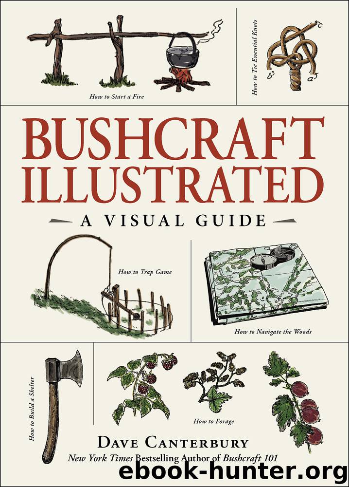 Bushcraft Illustrated by Dave Canterbury