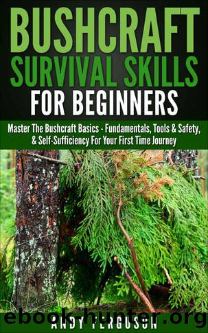 Bushcraft Survival Skills for Beginners: Master The Bushcraft Basics - Fundamentals, Tools & Safety, & Self-Sufficiency For Your First Time Journey (Bushcraft, ... Backpacking, Sur by Andy Ferguson