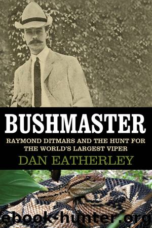 Bushmaster by Dan Eatherley