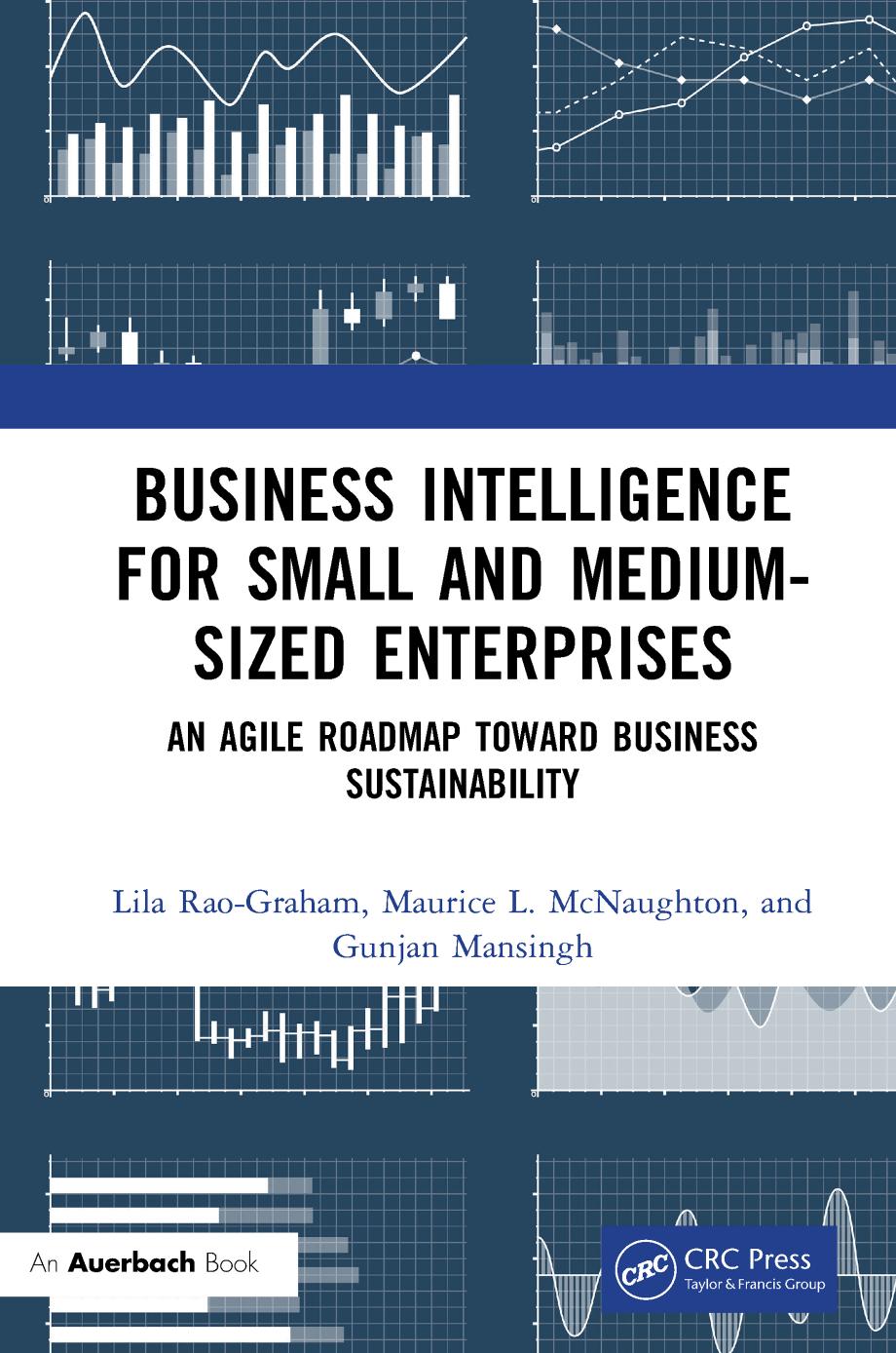 Business Intelligence for Small and Medium-Sized Enterprises : An Agile Roadmap Toward Business Sustainability by Lila Rao-Graham Maurice L. McNaughton