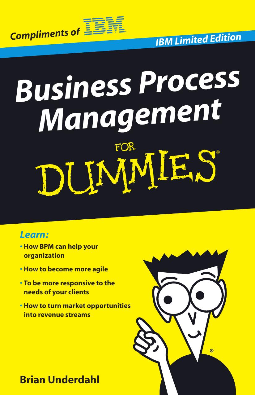Business Process Management For Dummies, IBM Limited Edition by Underdahl Brian