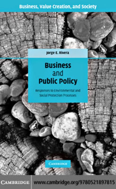 Business and Public Policy: Responses to Environmental and Social Protection Processes (Business, Value Creation, and Society) by Jorge E. Rivera