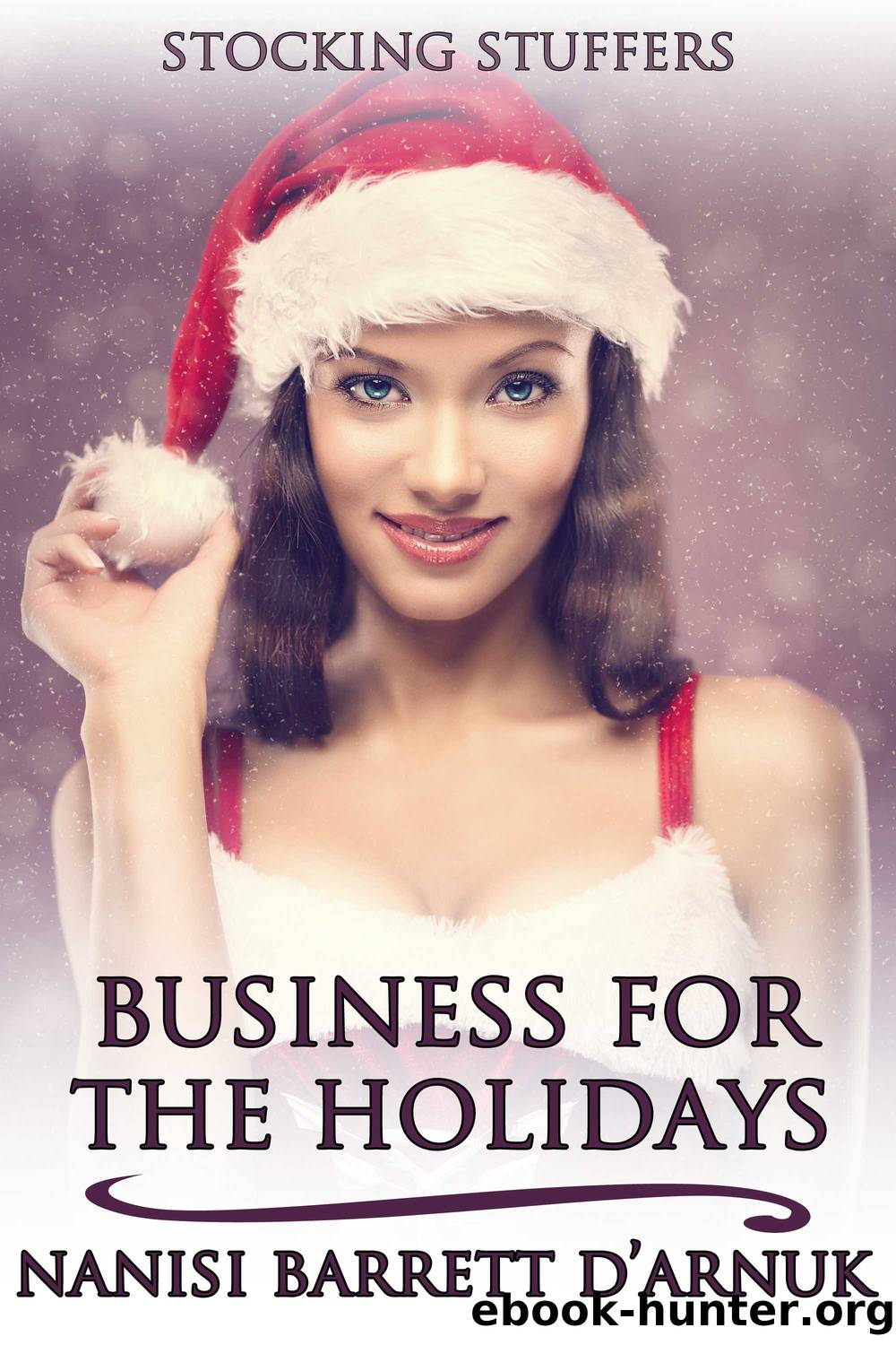 Business for the Holidays by Nanisi Barrett D’Arnuk