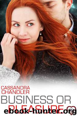 Business or Pleasure (The Department of Homeworld Security Book 3) by Cassandra Chandler