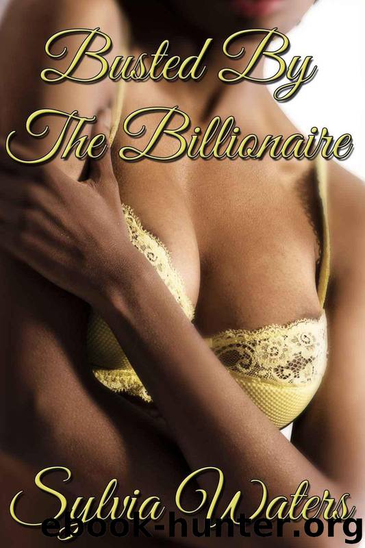 Busted By the Billionaire (Billionaire, Erotic Romance) by Waters Sylvia