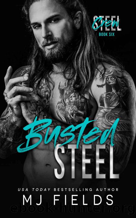 Busted Steel: An Age Gap Romance by Fields MJ