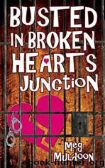 Busted in Broken Hearts Junction by Meg Muldoon