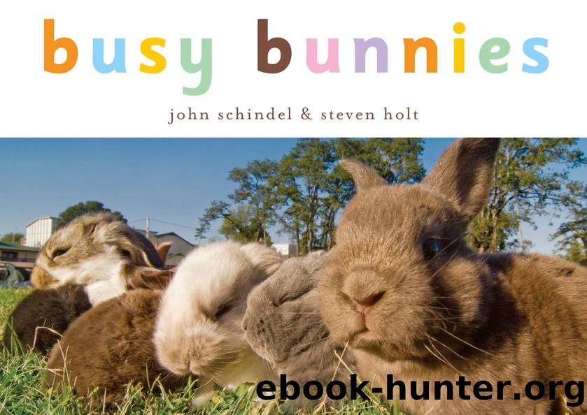 Busy Bunnies by John Schindel