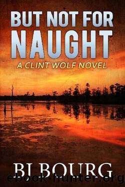 But Not For Naught by BJ Bourg