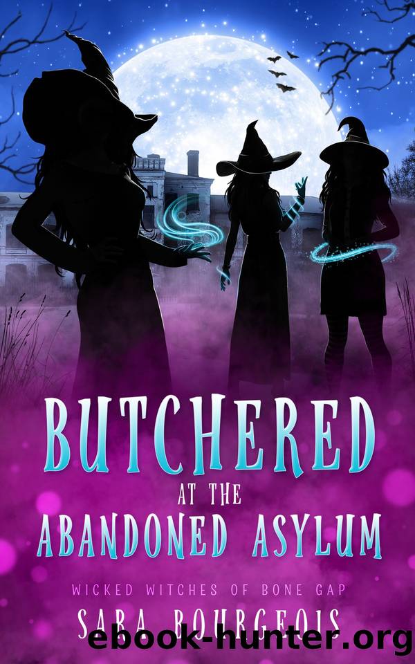 Butchered at the Abandoned Asylum (Wicked Witches of Bone Gap Book 2) by Sara Bourgeois