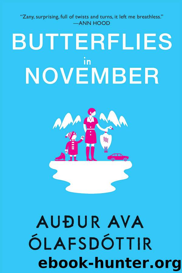 Butterflies in November by Auður Ava Ólafsdóttir