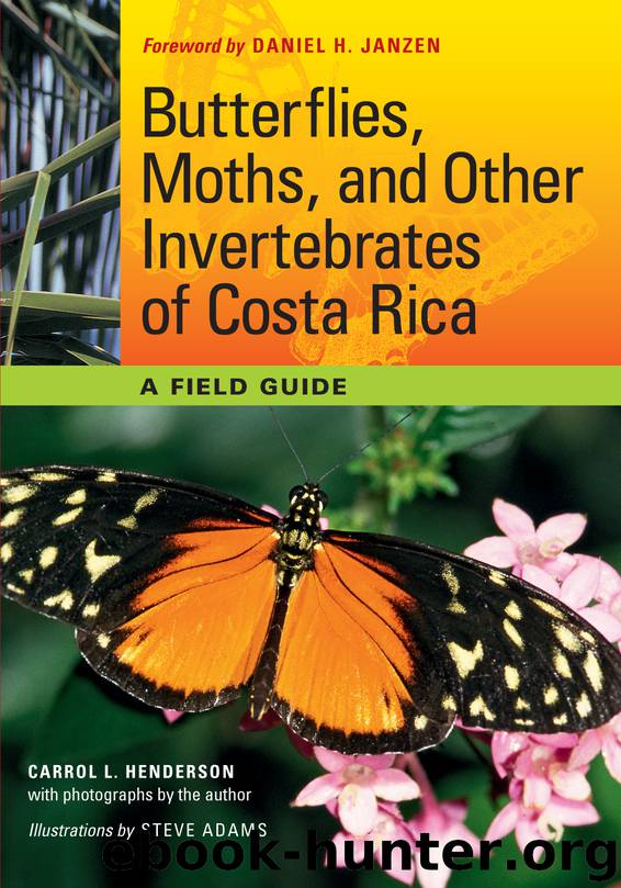 Butterflies, Moths, and Other Invertebrates of Costa Rica by Carrol L. Henderson & Daniel H. Janzen & Steve Adams