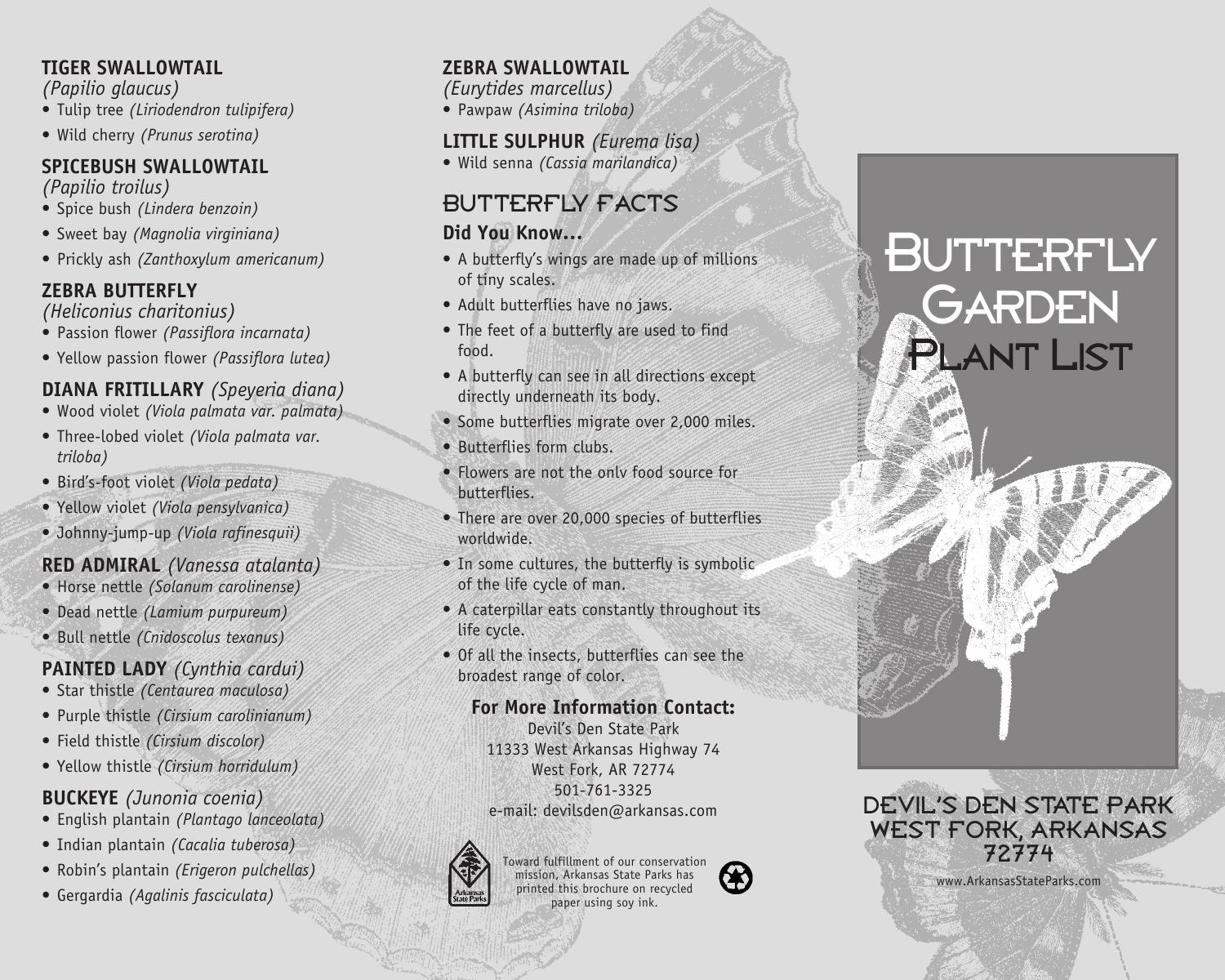 Butterfly Garden for pdf by Melissa Smith