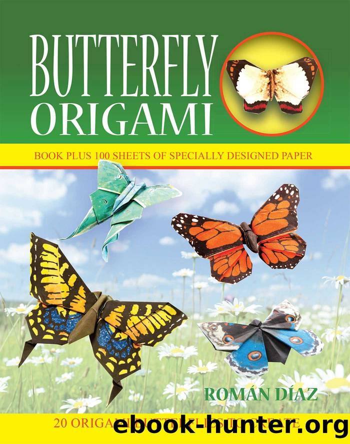 Butterfly Origami by Roman Diaz