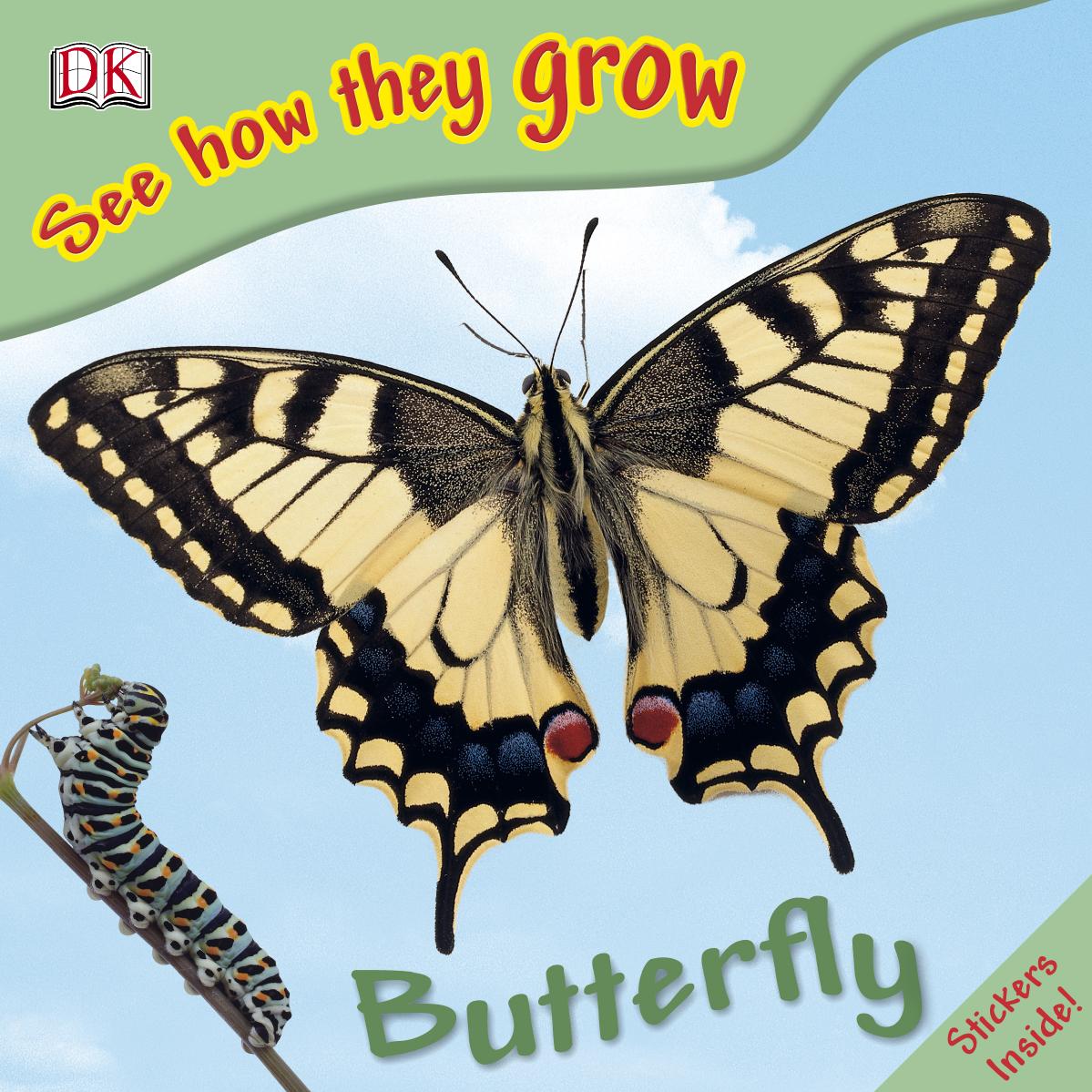 Butterfly by DK Publishing