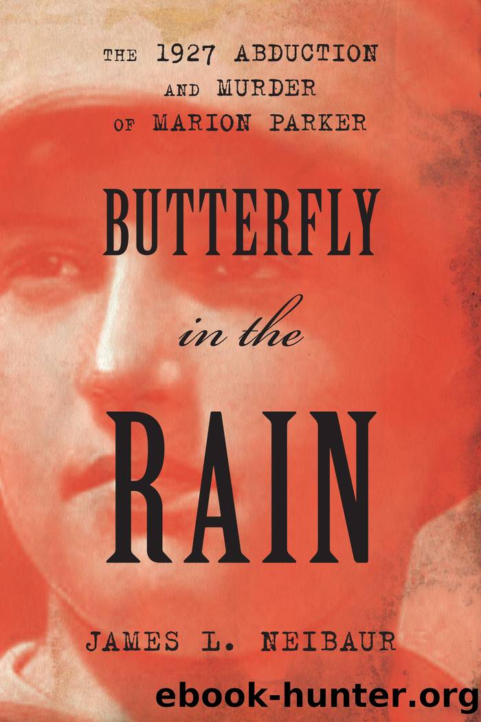Butterfly in the Rain by James L. Neibaur