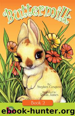 Buttermilk by Stephen Cosgrove
