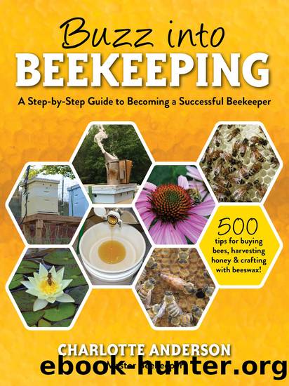 Buzz into Beekeeping by Charlotte Anderson
