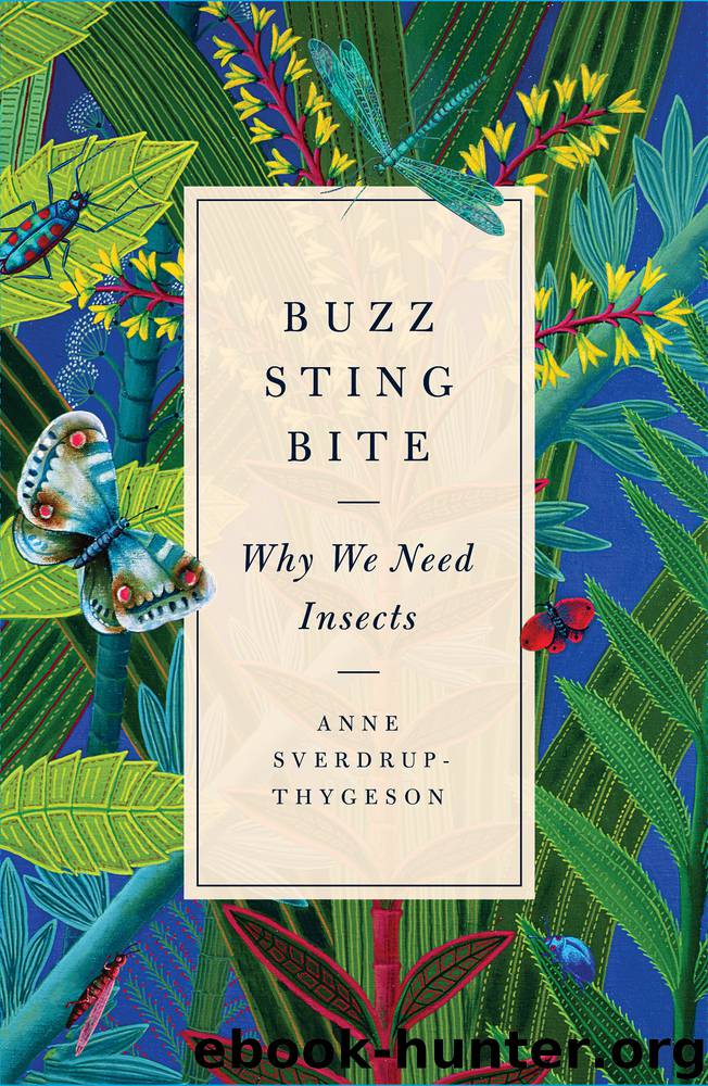 Buzz, Sting, Bite: Why We Need Insects by Anne Sverdrup-Thygeson