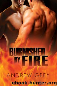 By Fire 3 - Burnished by Fire