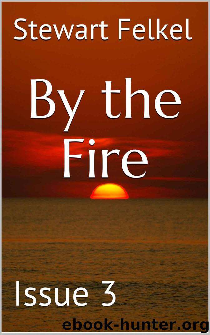 By the Fire: Issue 3 by Felkel Stewart
