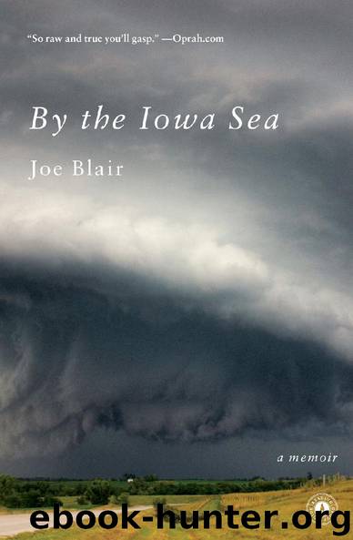 By the Iowa Sea by Joe Blair