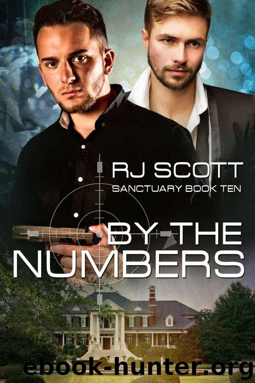 By the Numbers (Sanctuary Book 10) by RJ Scott