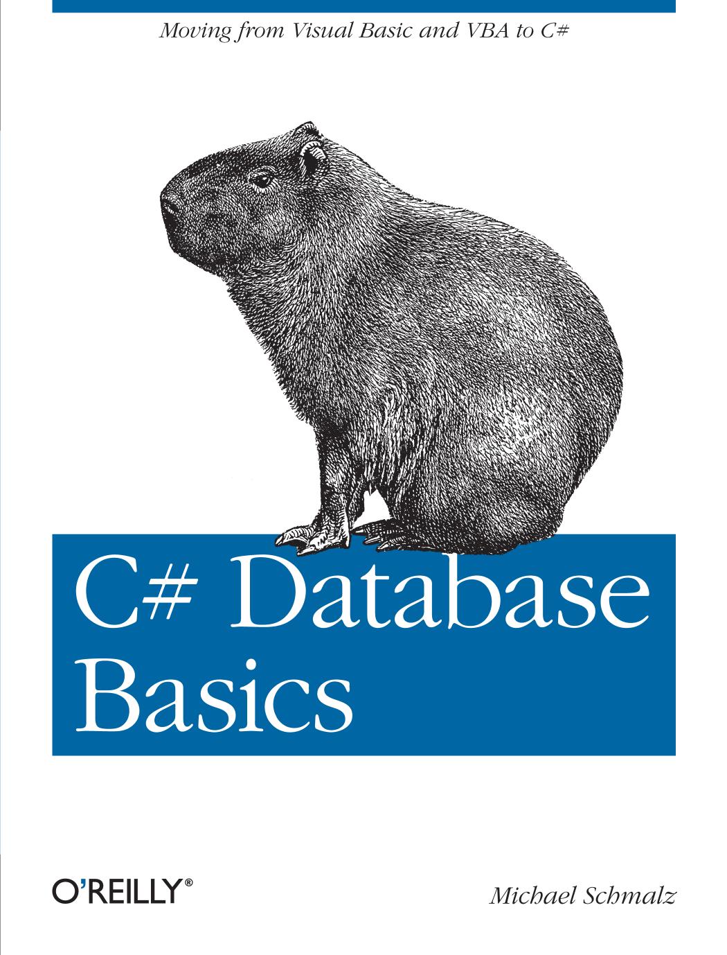 C# Database Basics by Michael Schmalz