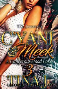C'Yani & Meek 3:: A Dangerous Hood Love by Tina J