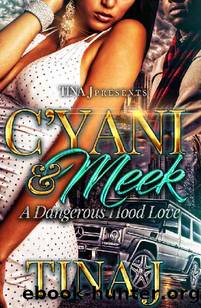 C'Yani & Meek:: A Dangerous Hood Love by Tina J