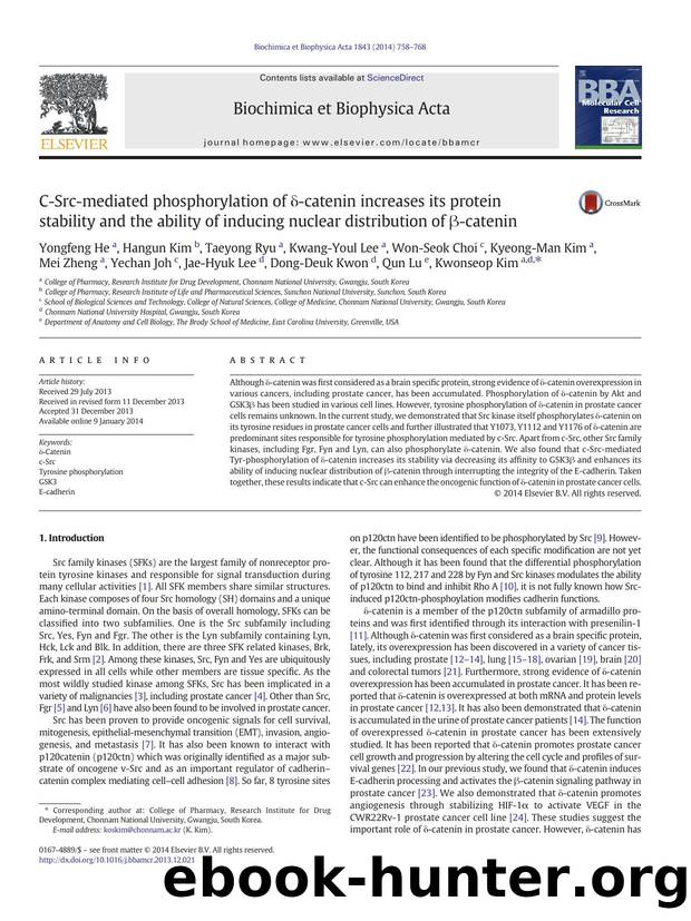 C-Src-mediated phosphorylation of Î´-catenin increases its protein stability and the ability of inducing nuclear distribution of Î²-catenin by unknow
