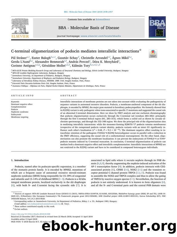 C-terminal oligomerization of podocin mediates interallelic interactions by unknow