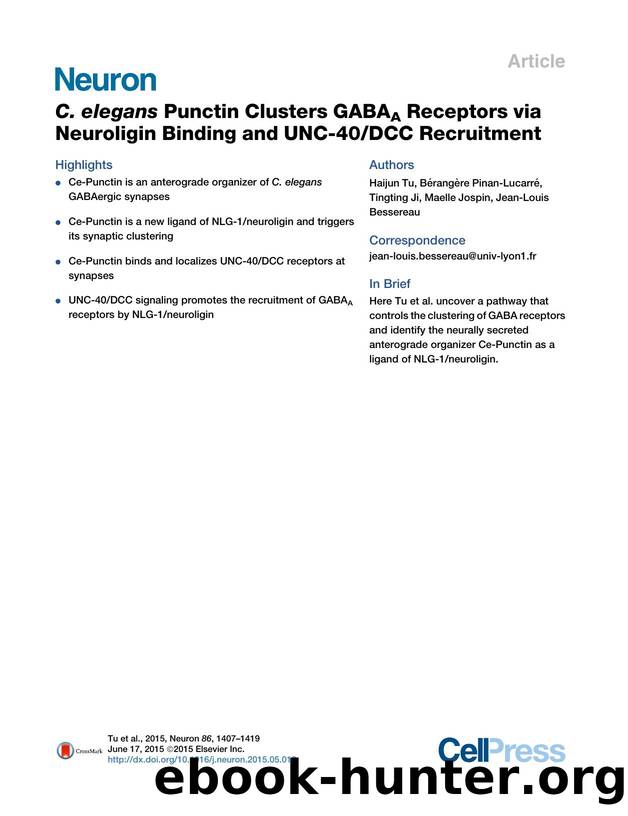 C.&nbsp;elegans Punctin Clusters GABAA Receptors via Neuroligin Binding and UNC-40DCC Recruitment by Haijun Tu & Bérangère Pinan-Lucarré & Tingting Ji & Maelle Jospin & Jean-Louis Bessereau