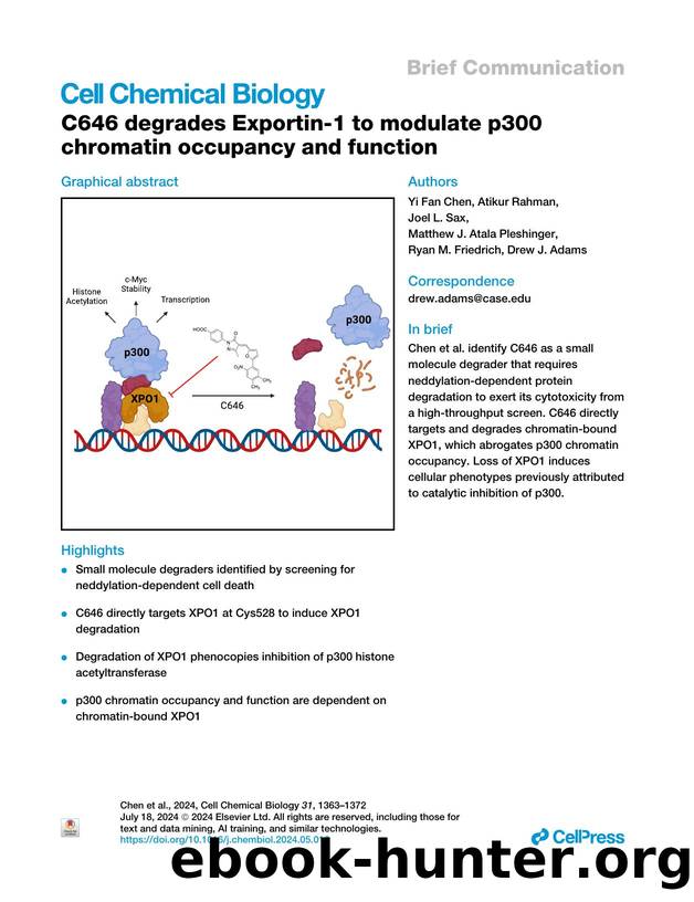 C646 degrades Exportin-1 to modulate p300 chromatin occupancy and function by unknow