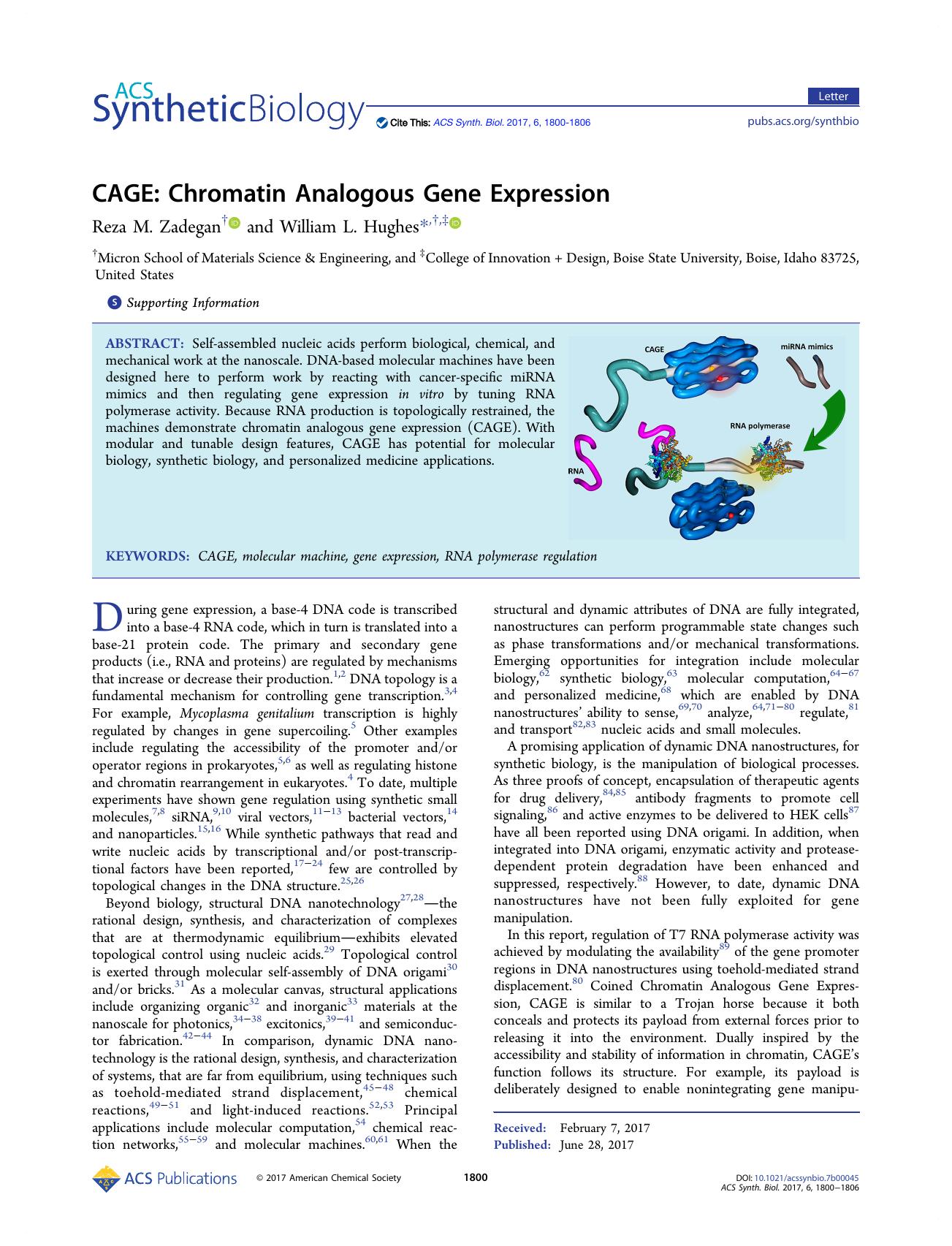 CAGE: Chromatin Analogous Gene Expression by Reza M. Zadegan and William L. Hughes