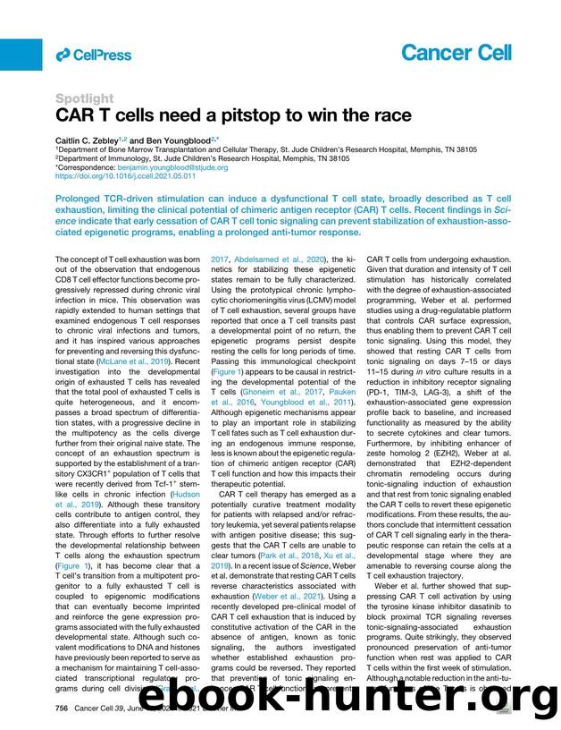 CAR T&nbsp;cells need a pitstop to win the race by Caitlin C. Zebley & Ben Youngblood