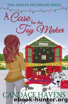 CASE FOR THE TOY MAKER, A by HAVENS CANDACE