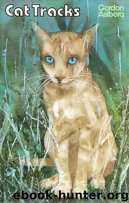 CAT TRACKS (An epic of Feline Survival) by AALBORG GORDON