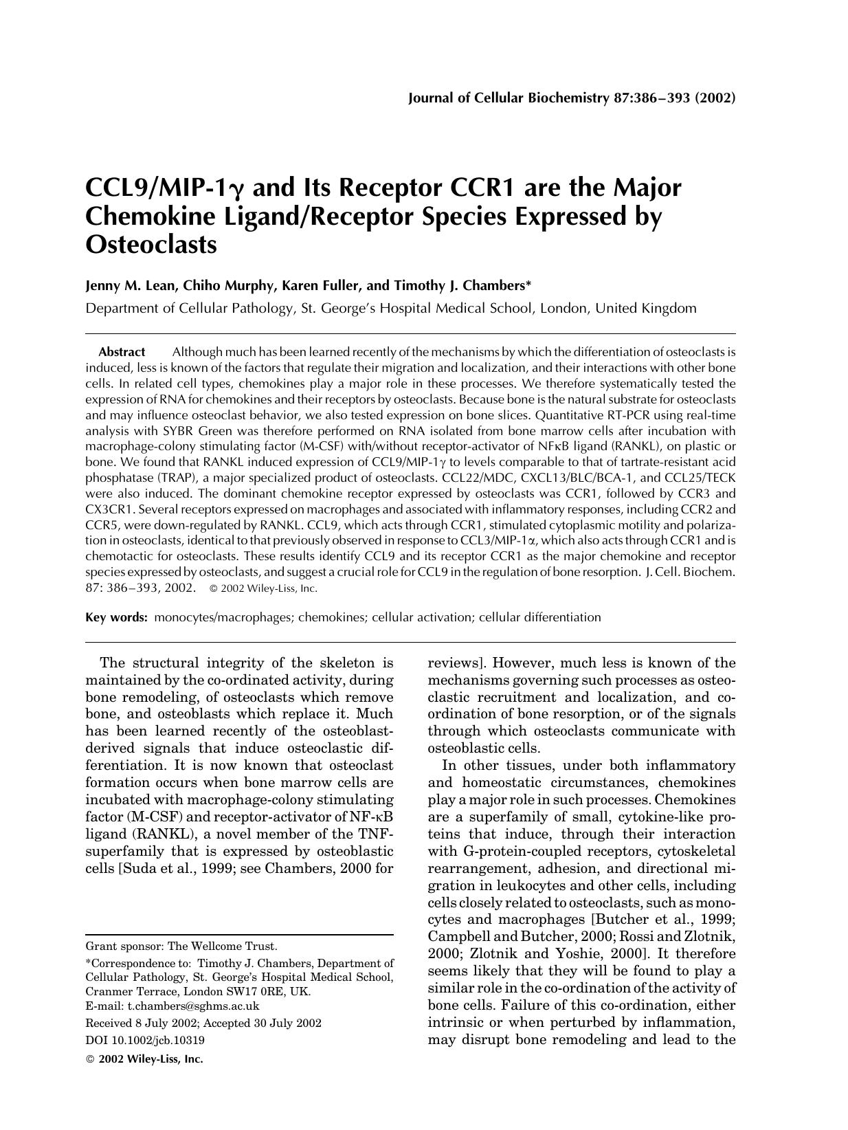 CCL9MIP-1[gamma] and its receptor CCR1 are the major chemokine ligandreceptor species expressed by osteoclasts by Unknown