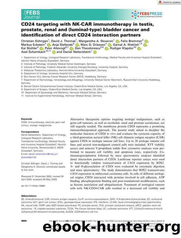CD24 targeting with NKâCAR immunotherapy in testis, prostate, renal and (luminalâtype) bladder cancer and identification of direct CD24 interaction partners by Unknown