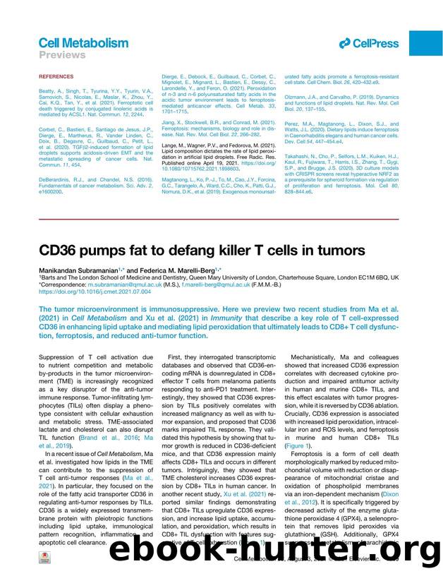 CD36 pumps fat to defang killer T&nbsp;cells in tumors by Manikandan Subramanian & Federica M. Marelli-Berg