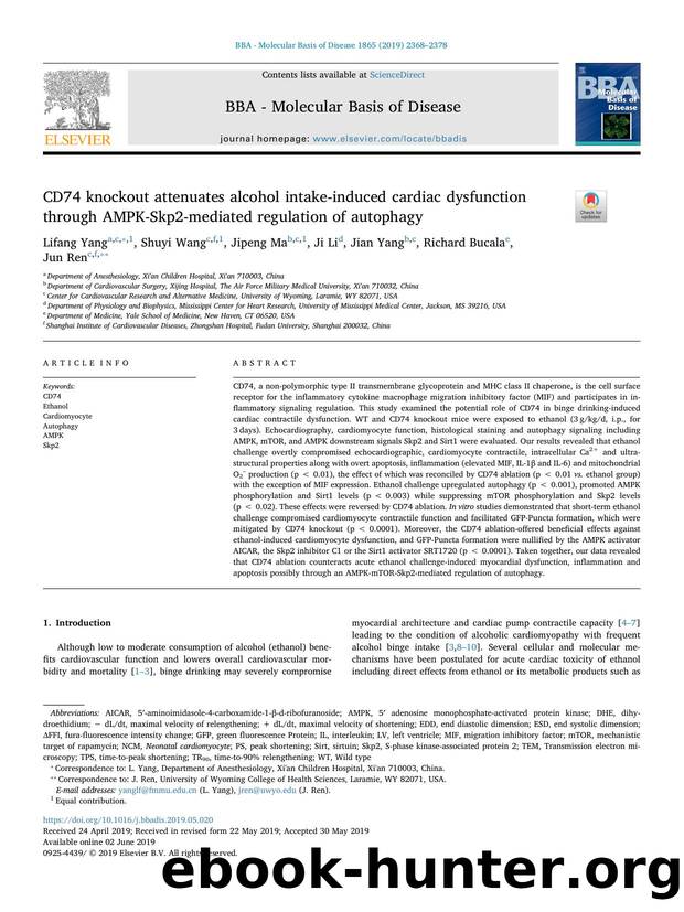 CD74 knockout attenuates alcohol intake-induced cardiac dysfunction through AMPK-Skp2-mediated regulation of autophagy by Lifang Yang & Shuyi Wang & Jipeng Ma & Ji Li & Jian Yang & Richard Bucala & Jun Ren