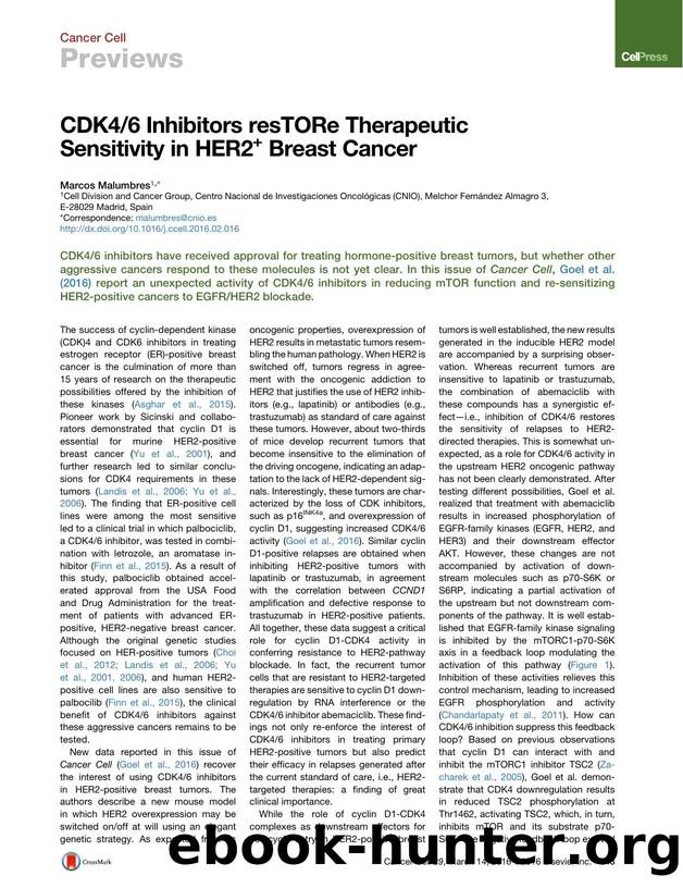 CDK46 Inhibitors resTORe Therapeutic Sensitivity in HER2+ Breast Cancer by Marcos Malumbres
